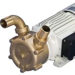 CEM Self Priming Bronze pump
