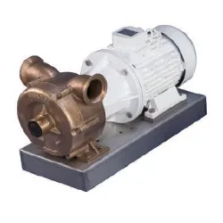 CEM - 070 Bronze self priming pump