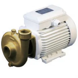 Picture of CEM B-CE (AC) Centrifugal Pump