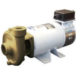 Picture of CEM B-CE (AC) Centrifugal Pump
