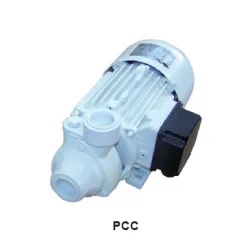 CEM PCC (Cast Iron) Pump