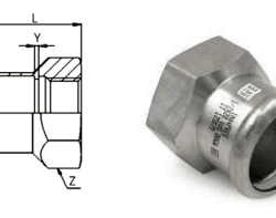 RACMET inoxPRES AISI 316L Female Adapter For Saturated Steam